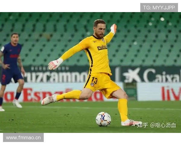 奥布拉克门将身价排名位居世界前列，当前估值稳居顶级行列