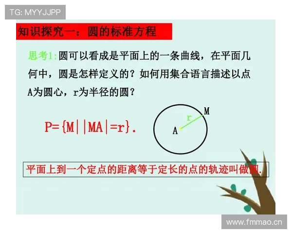 深入解析篮球争球判定规则：何时何地适用？